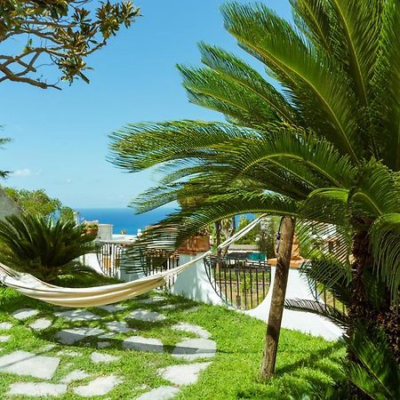 Villa Araucaria Casamicciola Terme Εξωτερικό φωτογραφία