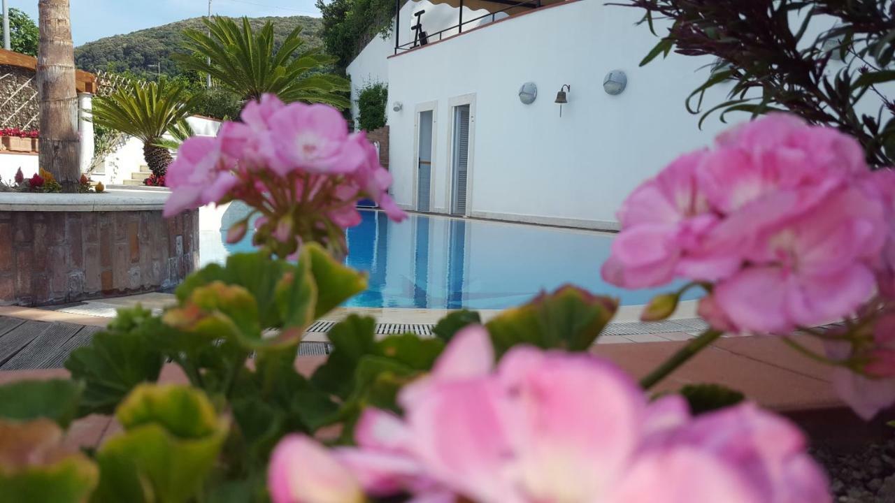 Villa Araucaria Casamicciola Terme Εξωτερικό φωτογραφία