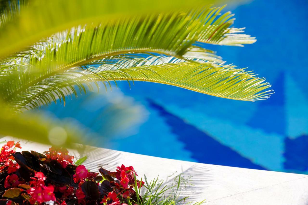 Villa Araucaria Casamicciola Terme Εξωτερικό φωτογραφία