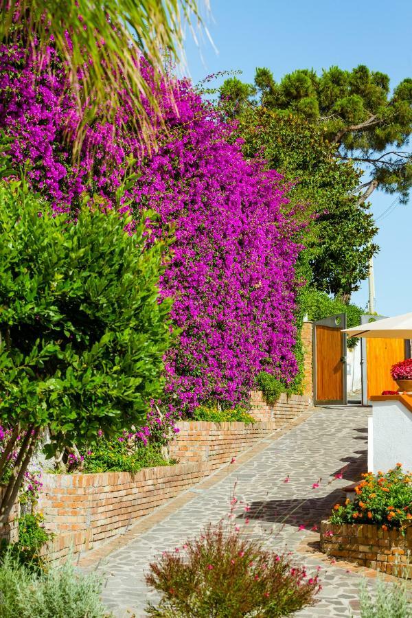 Villa Araucaria Casamicciola Terme Εξωτερικό φωτογραφία