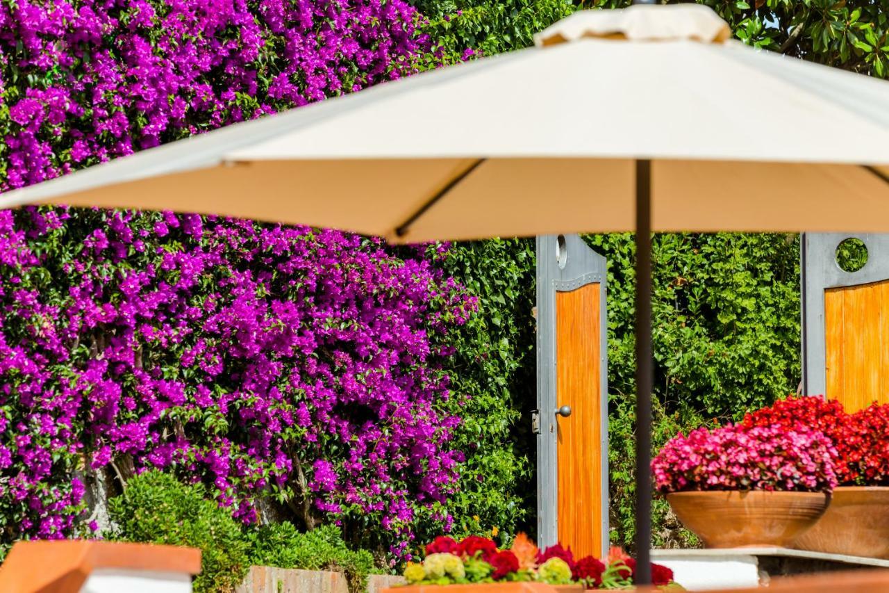 Villa Araucaria Casamicciola Terme Εξωτερικό φωτογραφία